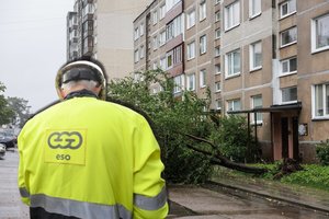 Artėjant audrai – perspėjimas iš ESO: sutelktos didžiulės pajėgos, tačiau gyventojams gali tekti apsišarvuoti kantrybe