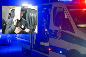 Į laisvę išėjęs siaubūnas iškart ėmėsi žiaurumų – aukos tykojo miške: gyvuliška prigimtis atsiskleidė paauglystėje