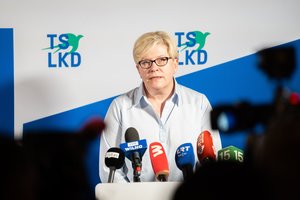 I. Šimonytė sukritikavo G. Palucko kandidatūrą: teistas, patirties mažoka