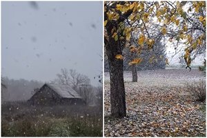 Lietuvoje – pirmasis sniegas: pasveikino visus ir paskelbė vaizdo įrašą