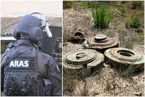 Ant Vilniaus r. gyventojo vartelių paliktame dovanų maišelyje – minos korpusas