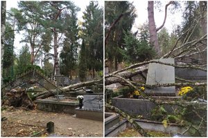 Kauno kapinėse – siaubingas vaizdas: vėjas medžius vartė tiesiai ant paminklų