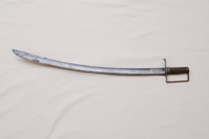 Prieš 230 metų Lietuvos Didžiosios Kunigaikštystės kariuomenė stojo į paskutinį mūšį