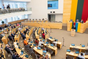 Naujame Seime turėtų dirbti 8 milijonieriai, turtingiausias – „Nemuno aušros“ atstovas