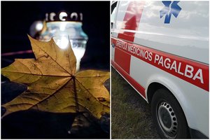 Šalčininkų rajono miestelio gatvėje sukniubęs staiga mirė pusamžis vyras