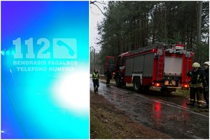 Ant važiuojančio vilkiko Jonavos rajone užvirto medis