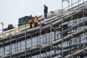 Siūlo patvirtinti maksimalią užsieniečių įdarbinimo kvotą