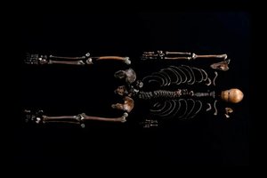 Šulinyje aptiko lavoną, kuris galėjo būti panaudotas kaip biologinis ginklas