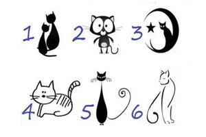 Pasirinkite kačiuką, kuris traukia dėmesį: tai daug pasako apie jus