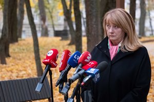 Naujas politinis detektyvas: kur pradingo Vilija Blinkevičiūtė?