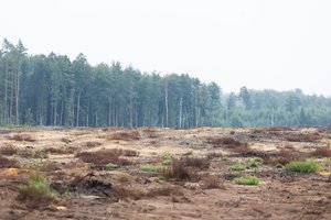 Seimas apsisprendė – Tauragės ir Šilalės rajonuose bus statomi kariniai poligonai