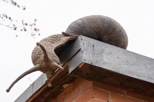 Kokio gražumo istorija: nepažįstamai kauniečių šeimai už paslaugą dzūkas atsidėkojo išties originaliai