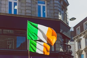 Airijos prezidentas paleido parlamentą, vyks nauji rinkimai