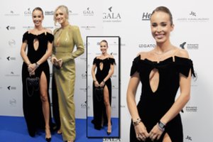 Po namuose įvykusios vagystės V. Siegel pirmą kartą pasirodė viešumoje: dėmesį kaustė įvaizdžiu