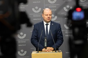 Opozicijoje dirbsiantys politikai dėl S. Skvernelio kandidatūros į Seimo vadovus spręsti neskuba: turi priekaištų dėl retorikos