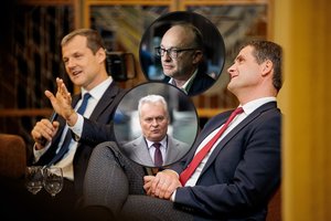 Prezidento patarėjas atskleidė, kaip didėjo R. Žemaitaičio bėda ir kodėl kairieji tapo nesukalbami