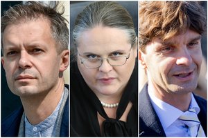 Širinskiene apsimetęs „trolis“ I. Vėgėlei siūlė ministro postą: paviešintuose laiškuose – įdomus advokato atsakas