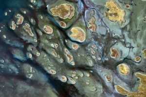 Vienas įspūdingiausių ežerų pasaulyje: atsiranda, pradingsta ir mirga auksu