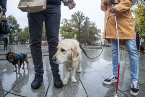Po incidento autobuse – Lietuvos aklųjų ir silpnaregių sąjungos prašymas stabdyti diskriminaciją