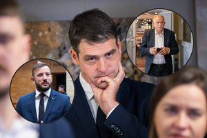 V. Sinkevičius ir V. P. Andriukaitis susikirto, kurie yra kaltesni dėl R. Žemaitaičio koalicijoje