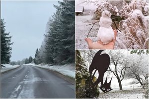 Dalį Lietuvos nubalino sniegas: sinoptikai skelbia, ar jo artimiausiomis dienomis dar sulauksime