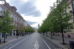 „Google Street View“ nuotraukos padėjo sudaryti žemėlapį, rodantį kaip auga 600 000 medžių augimą