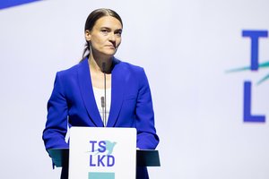 R. Morkūnaitė-Mikulėnienė bus teikiama į Seimo vicepirmininkus: ŠMSM laikinai turės kitą vadovą