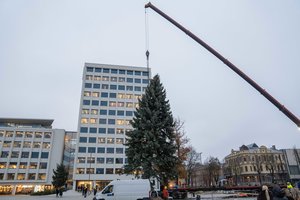 Garsus floristas atskleidė, kuo skiriasi kalėdinės puošmenos Kaune ir Vilniuje: „Turi būti prasmė“