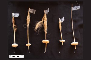 12 tūkst. metų senumo akmenukai gali būti pirmoji rato technologijų apraiška pasaulyje