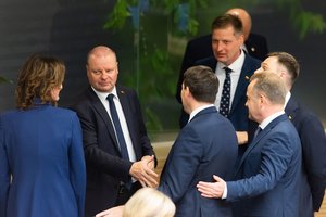 Paaiškėjo, kaip išsidalintos komitetų pirmininkų pozicijos: Audito komitetui vadovaus A. Skardžius