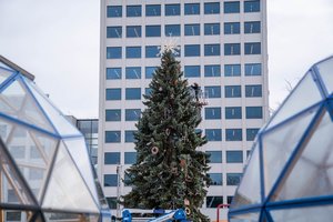 Kaune jau jaučiama Kalėdų dvasia: ant eglutės pradėti kabinti pirmieji žaisliukai, atskleista šventės tema