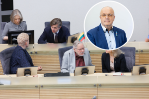 J. Olekas įvertino A. Skaisgirytės ir K. Budrio kandidatūras į URM: „Pamatysime, luktelėkime“