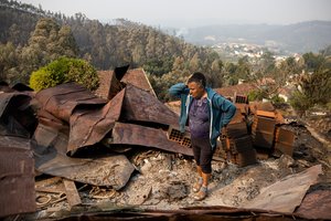 Ataskaita: 2023 m. miškų gaisrai ES nuniokojo beveik 500 000 hektarų plotą