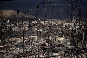 Tyrimai pasaulio ateičiai negailestingi: pjauname šaką, ant kurios sėdime