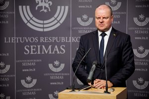 S. Skvernelis nemato problemos dėl G. Palucko ir V. Nikitino susitikimo: natūrali naujo politinio ciklo pradžia