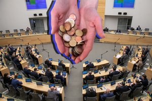 Kitų metų valstybės biudžeto spragos nepraslydo pro naujojo Seimo akis: teko grąžinti Vyriausybei