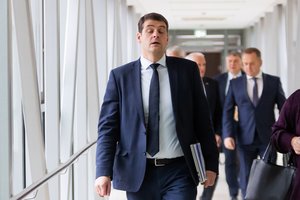 R. Žemaitaitis pripažįsta: „aušriečiams“ surasti kandidatus į ministrus nėra lengva
