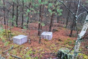 Varėnos rajone pasieniečiai perėmė 3 tūkst. pakelių kontrabandinių cigarečių