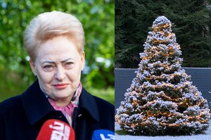 Dalios Grybauskaitės namų kieme – pasakiško grožio žaliaskarė: sulaukė tūkstančių dėmesio