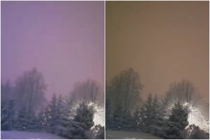 Gamtos pokštai Šilutės r. – pavyko užfiksuoti labai retą reiškinį