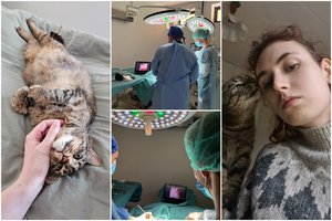 Lazdynų gyvūnų ligoninėje – unikalus įrenginys: juo gydomi ne tik gyvūnai, bet ir žmonės