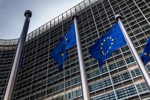 Latvijos prašymu Belgijos pareigūnai atliko kratą buvusios EP narės T. Ždanokos gyvenamojoje vietoje Briuselyje