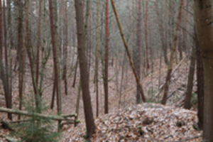 Naujai atrastas gamtos paveldo objektas: Zarasaičio ežere aptikta griova ir raguva