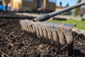 Dar šiemet atlikite šį darbą ir kitąmet derlius nustebins kaip niekada: viskas labai paprasta