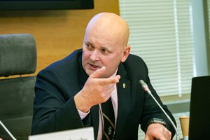 Po lėktuvo katastrofos Vilniuje – V. Malinionio versija: nereikia bijoti apie tai šnekėti