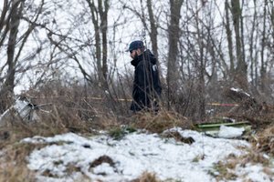 Prie aviakatastrofos Vilniuje tyrimo komandos prisidėjo Vokietijos ekspertai, laukiama tyrėjų iš Ispanijos ir JAV