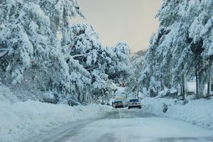 Labiau katastrofinio snygio Nidos gyventojai nebuvo matę: pusnys trukdė net išeiti iš namų