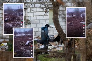 Plinta vaizdo įrašai, kaip prie pat lėktuvo nuolaužų bastosi smalsuoliai: kodėl nereagavo policija?