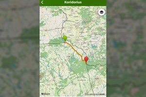 Evakuacijos sėkmę lemia ir sveika nuovoka