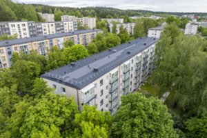 Medžius privalės saugoti ir privačių sklypų savininkai: Vilnius plečia saugotinų medžių sąrašą